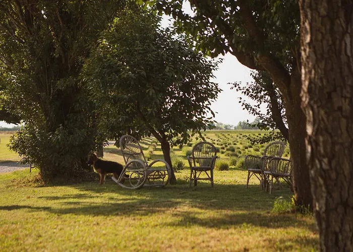 Il Capitolo בית חווה Carpaneto Piacentino