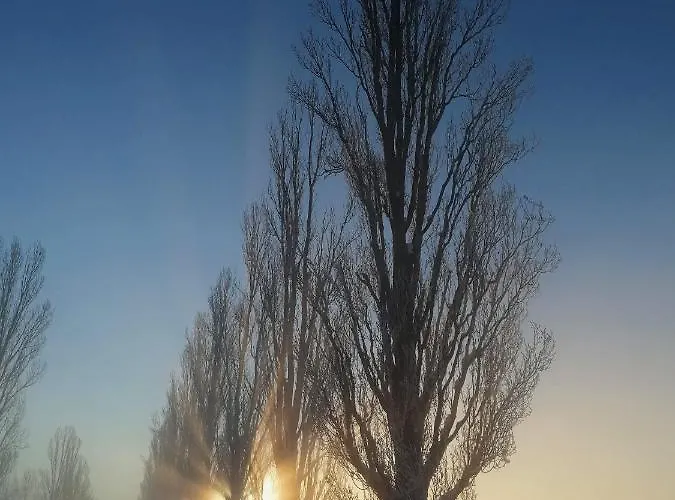 בית חווה Il Capitolo