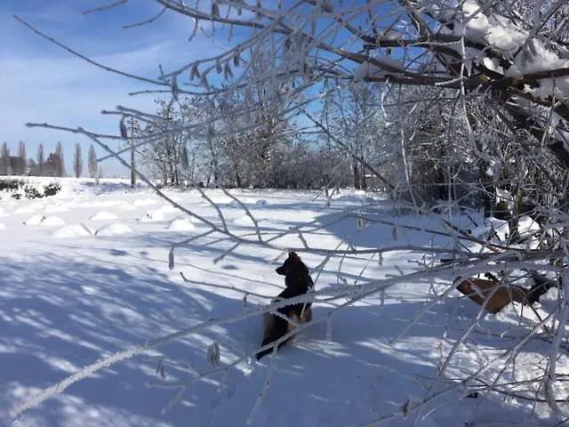 Il Capitolo * Carpaneto Piacentino
