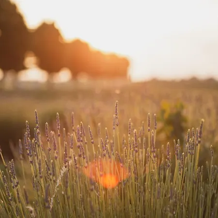 Il Capitolo Alloggio per agriturismo
