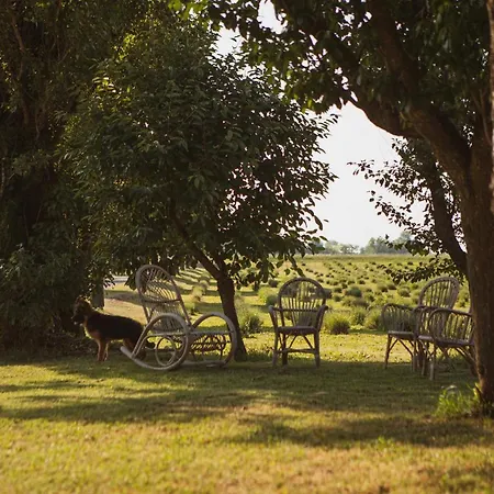 Il Capitolo Farm stay Carpaneto Piacentino