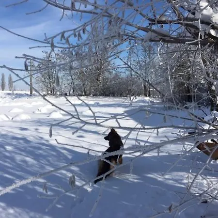 Il Capitolo * Carpaneto Piacentino