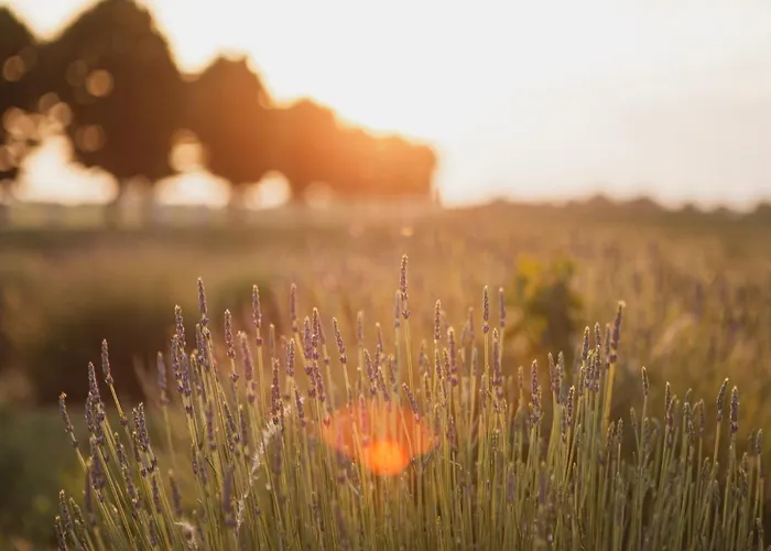 Il Capitolo Gospodarstwo agroturystyczne